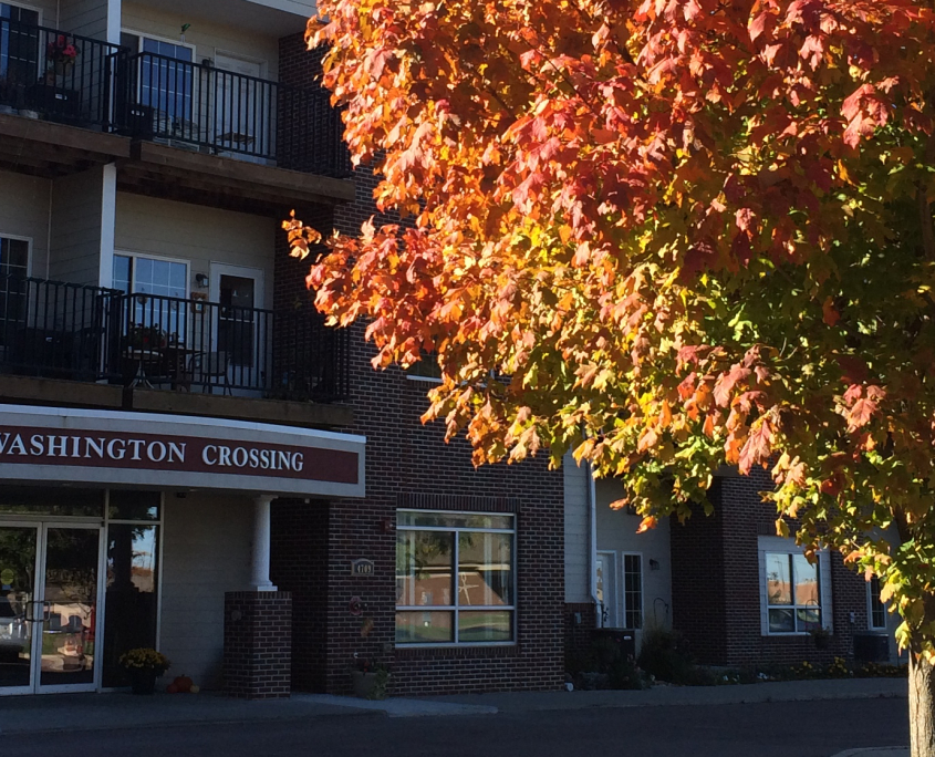 Front view with fall tree